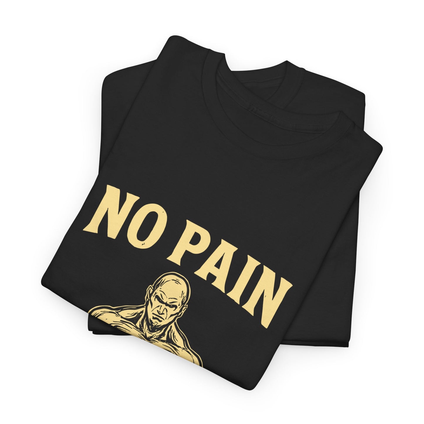 No Pain No Gain